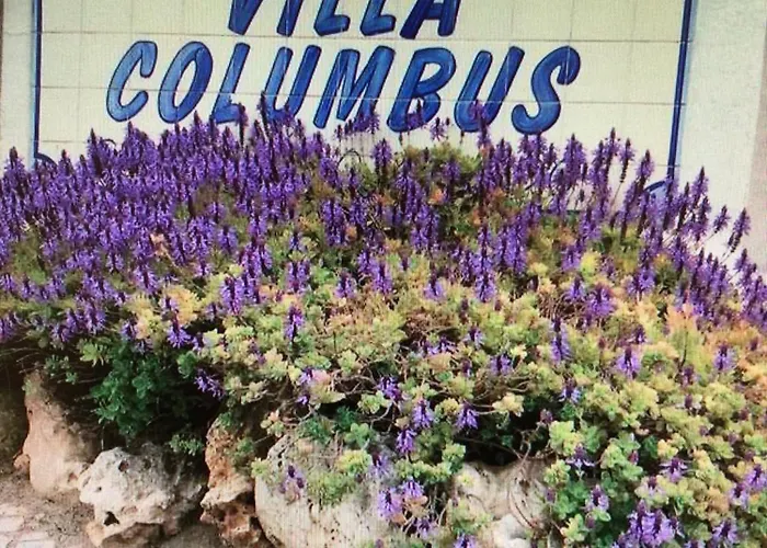 Columbus 维拉摩拉